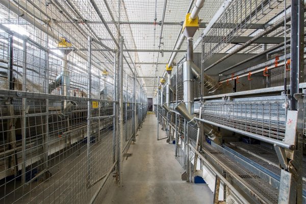 04 2016-11-21 Niedrigenergie-gefl.-stall-6100